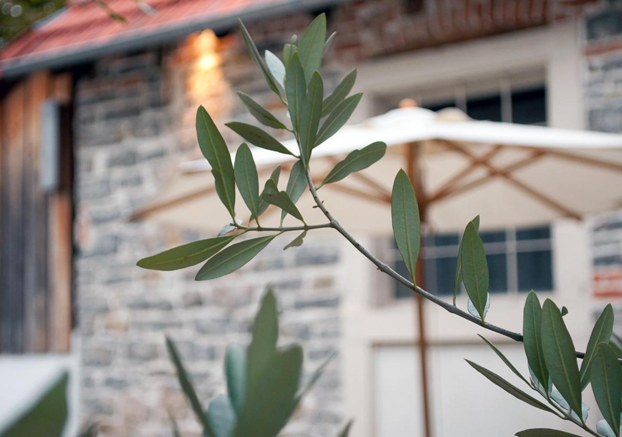 Der Gruene Baum Otel Sinsheim Dış mekan fotoğraf